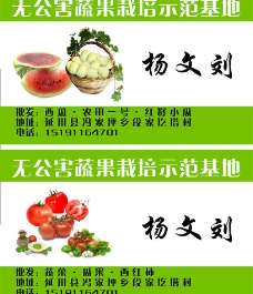 蔬菜瓜果名片图片