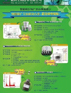 DM彩页 产品促销 企业宣传 绿色图片