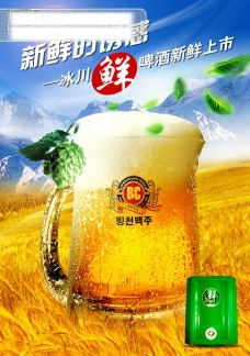 啤酒03