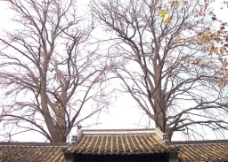 扬州史公祠屋顶图片