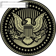 手绘花纹美国海豹突击队徽标