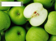 鲜花摄影一组绿苹果