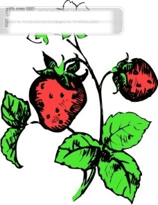 草莓矢量图片2