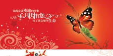 2010邮政贺卡参赛作品(原创)蝴蝶篇图片